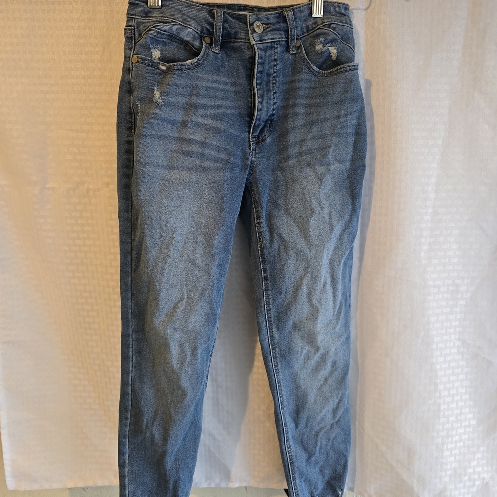 Sofia by Sofia Vergara Classic Blue Jeans